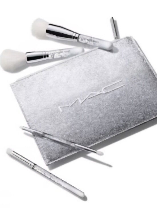MAC Cosmetics Other - MAC Brush Of Snow Essential Brush Kit